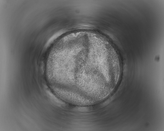 X0000113221402200910081330