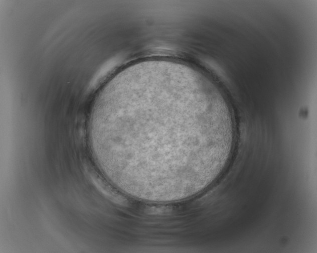 X0000113221403200910081330