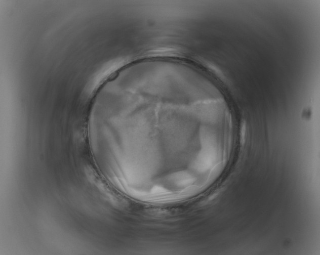 X0000113221405200910081330