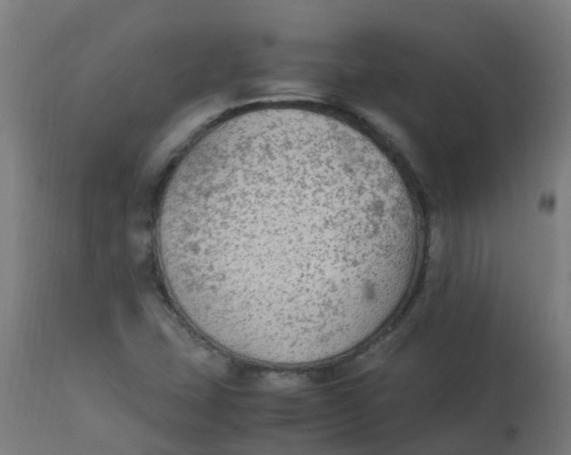 X0000113221407200910081330