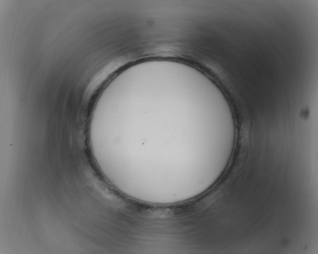 X0000113221410200910081330