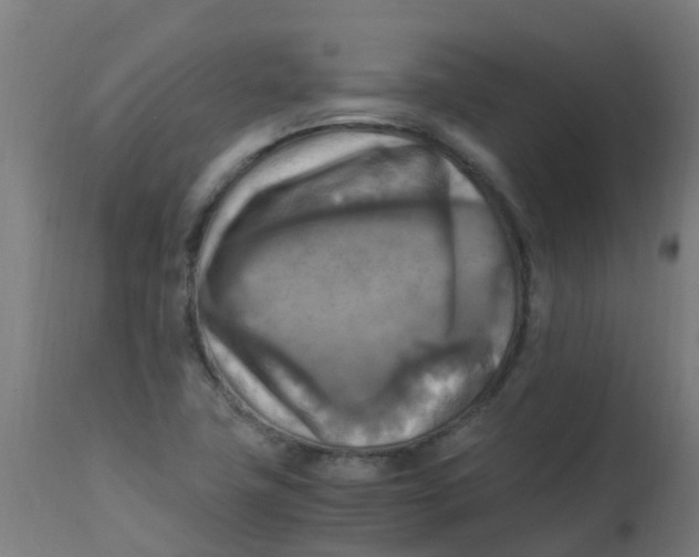 X0000113221411200910081330