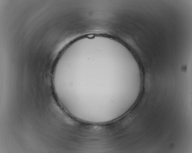 X0000113221412200910081330