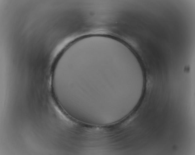 X0000113221414200910081330