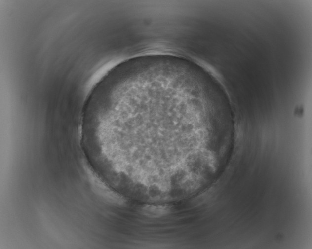 X0000113221415200910081330