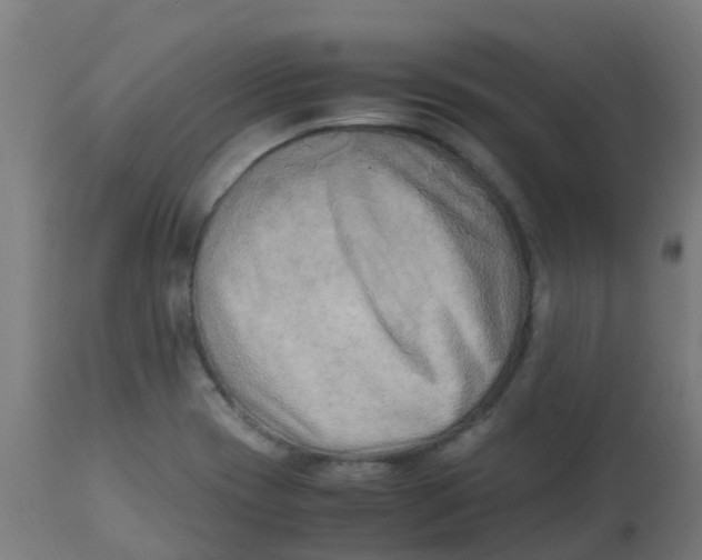 X0000113221417200910081330