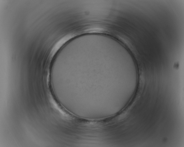 X0000113221418200910081330