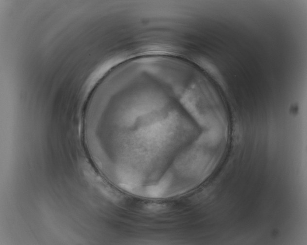 X0000113221419200910081330