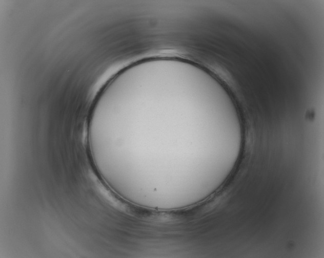 X0000113221420200910081330