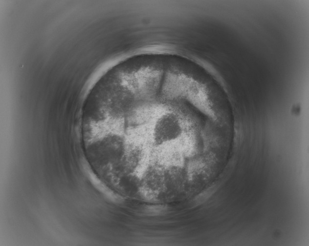 X0000113221421200910081330