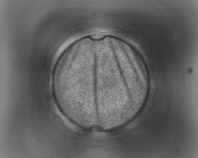 X0000113221424200910081330