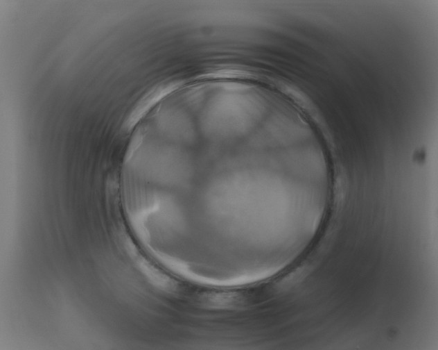 X0000113221425200910081330