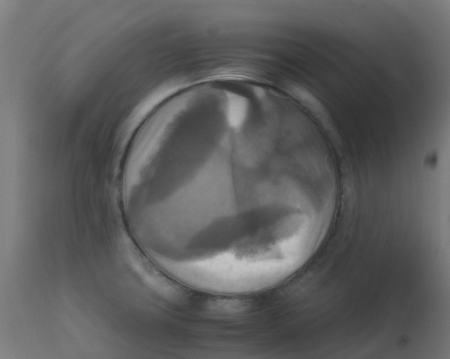 X0000113221427200910081330