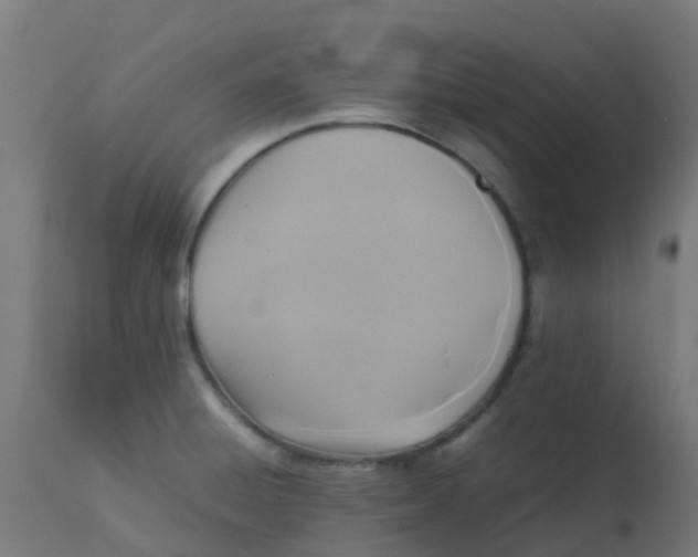 X0000113221428200910081330