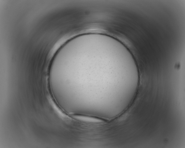 X0000113221430200910081330