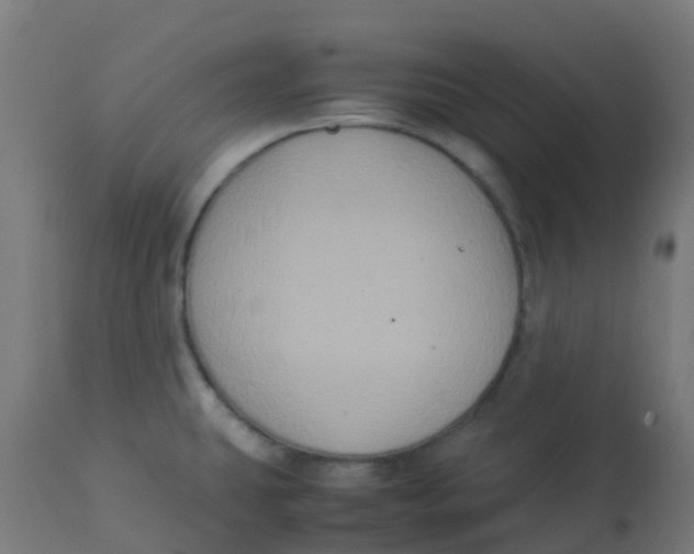 X0000113221431200910081330