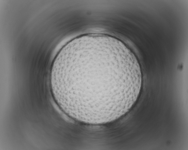X0000113221432200910081330