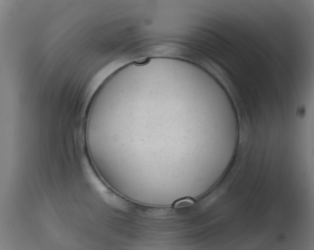 X0000113221434200910081330