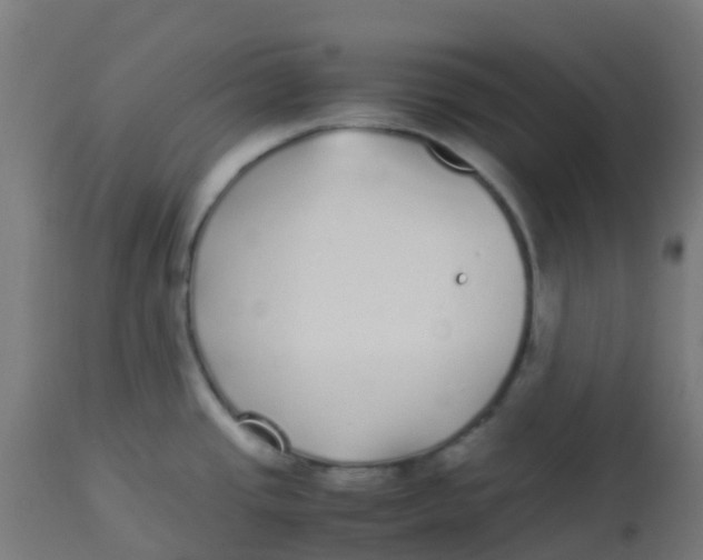 X0000113221437200910081330