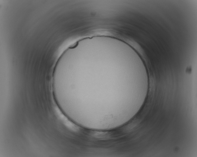 X0000113221439200910081330
