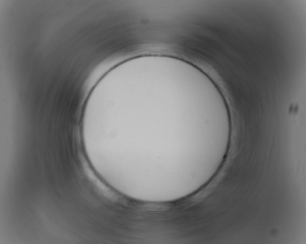 X0000113221440200910081330