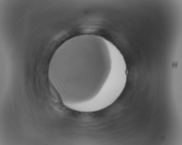 X0000113221441200910081330