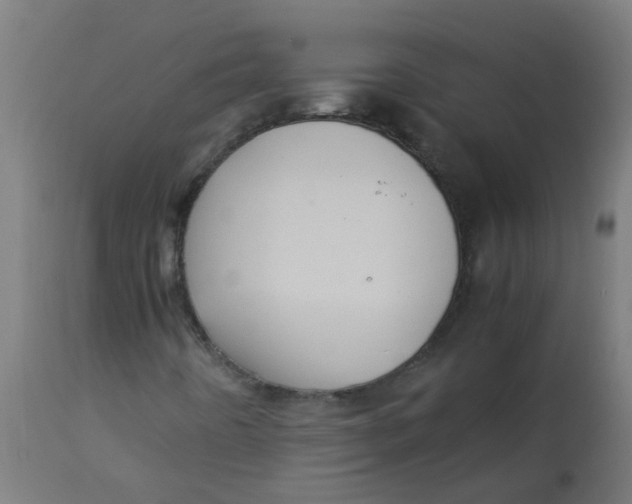 X0000113221442200910081330