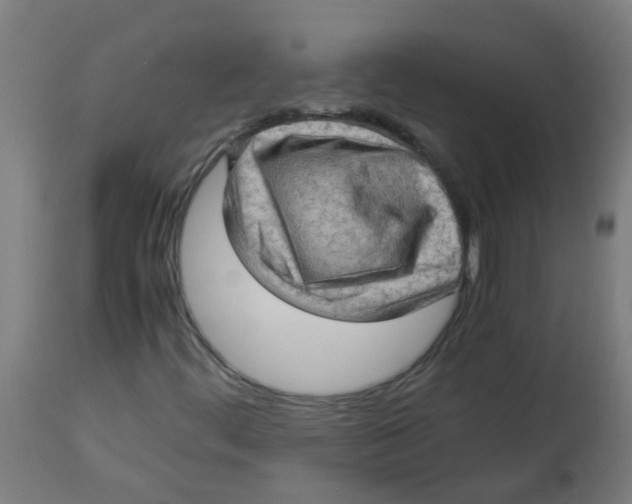 X0000113221444200910081330