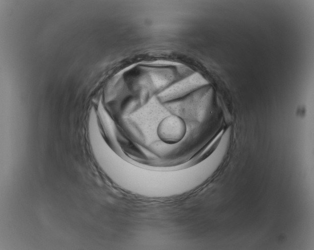 X0000113221445200910081330