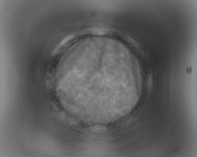 X0000113221446200910081330