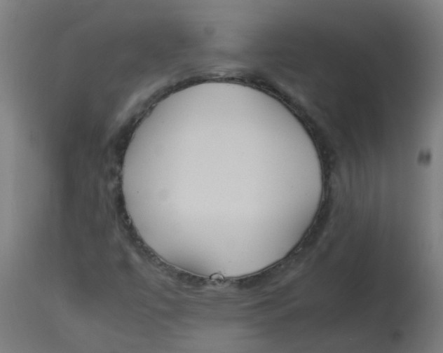 X0000113221447200910081330