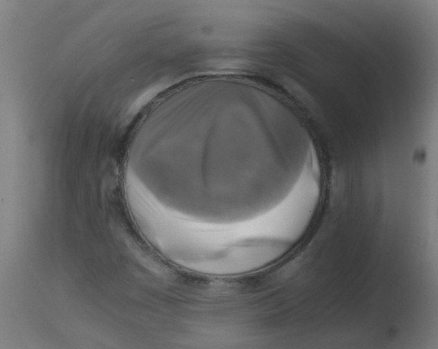 X0000113221449200910081329