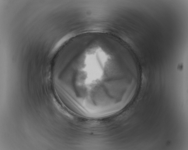 X0000113221450200910081329
