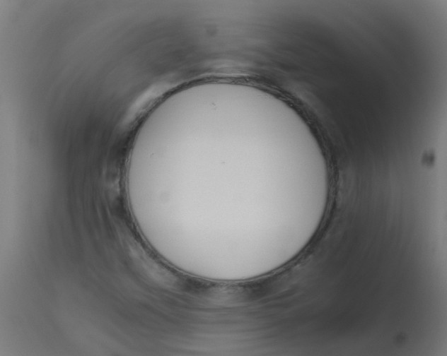 X0000113221451200910081329