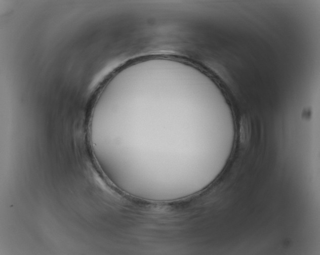 X0000113221452200910081329