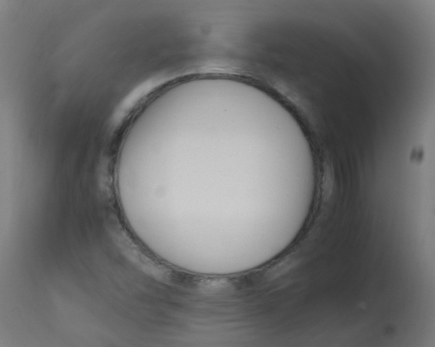 X0000113221454200910081329