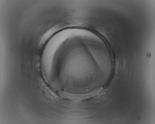 X0000113221455200910081329