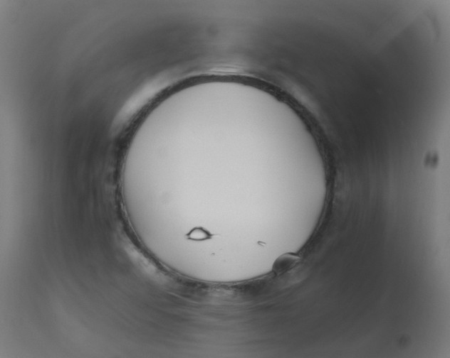 X0000113221456200910081329