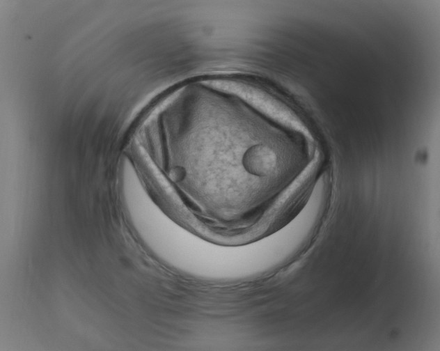 X0000113221457200910081329