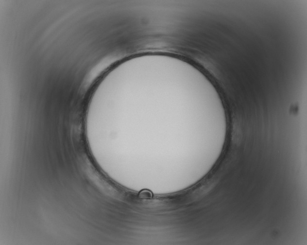 X0000113221458200910081329