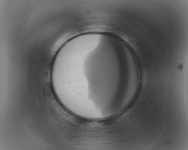 X0000113221459200910081329