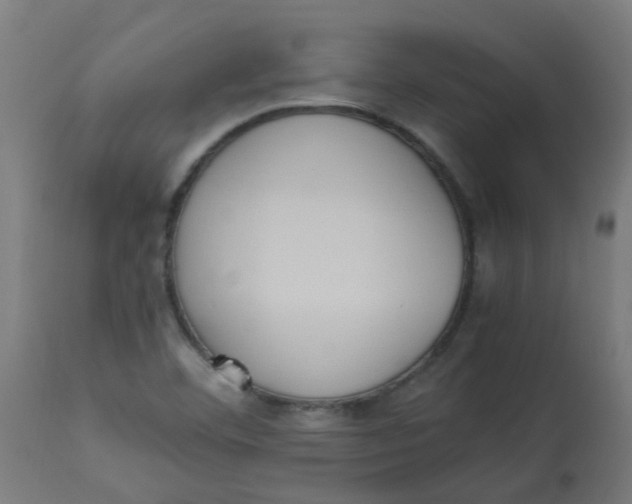 X0000113221460200910081329