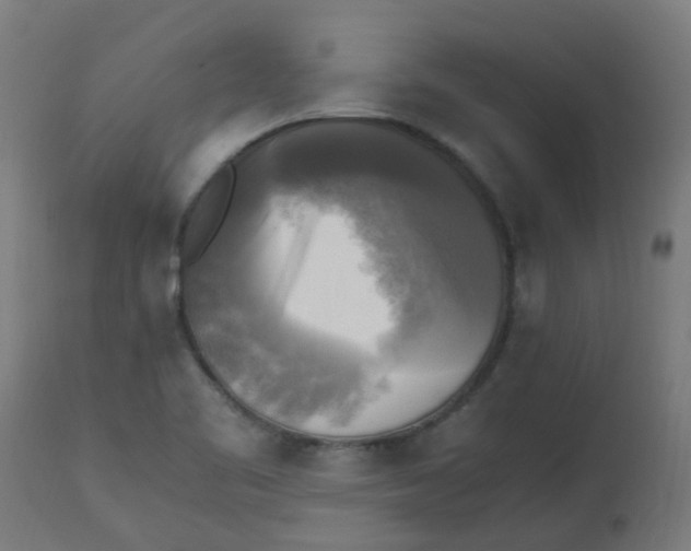 X0000113221461200910081329