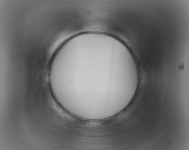 X0000113221462200910081329