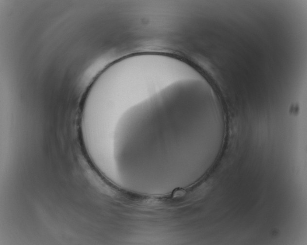 X0000113221463200910081329
