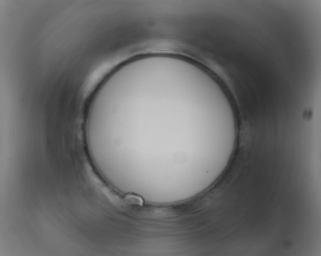 X0000113221464200910081329