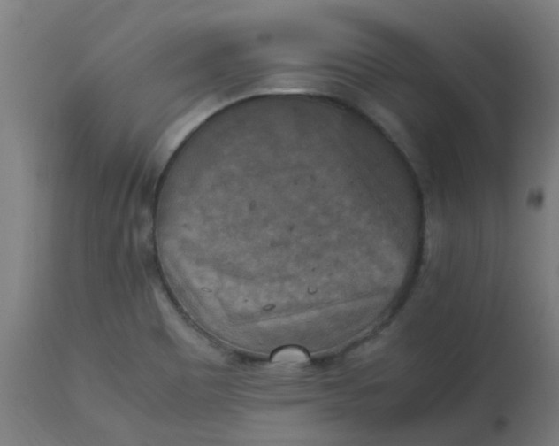 X0000113221465200910081329