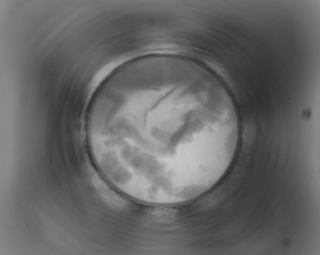 X0000113221466200910081329