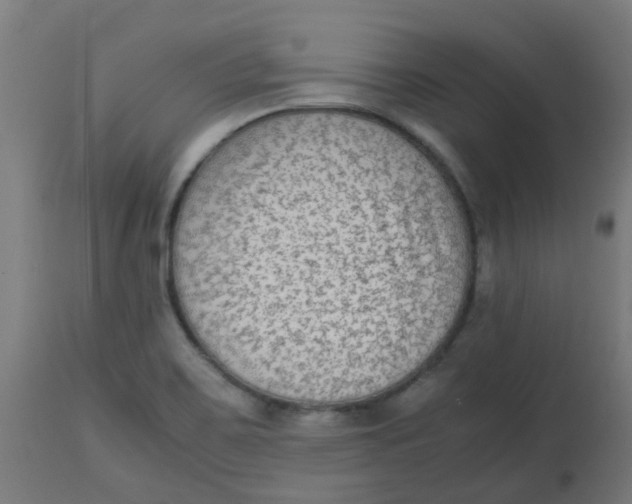 X0000113221467200910081329