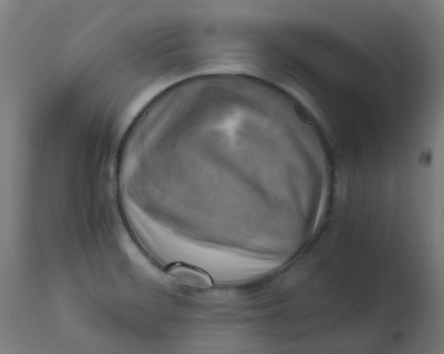 X0000113221468200910081329